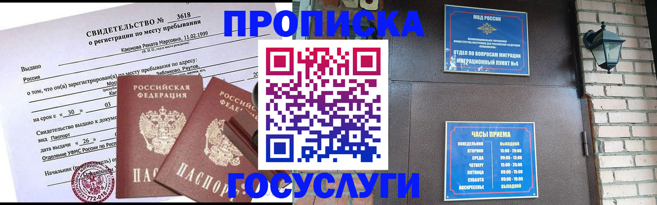 временная регистрация поиск в Палласовке